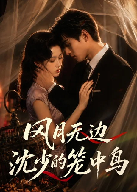 风月无边，沈少的笼中鸟（58集）AI短剧 (2026)