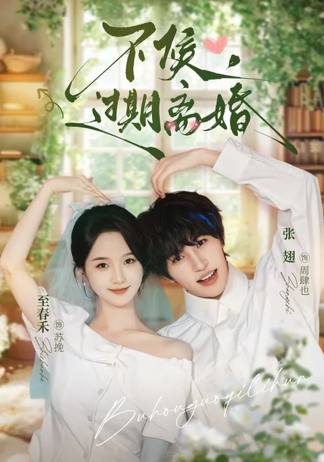 不候，过期离婚（86集）张翅＆至春禾 (2026)