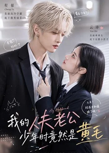 我的人夫老公少年时竟然是黄毛!(15集)AI短剧 (2026) 我的人夫老公少年时竟然是黄毛!(15集)AI短剧 (2026)