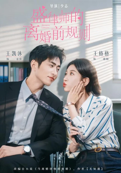 盛律师的离婚前规则(97集)王凯沐&王格格 (2026) 盛律师的离婚前规则(97集)王凯沐&王格格 (2026)