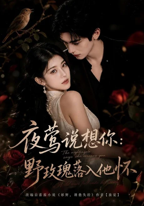 夜莺说想你:野玫瑰落入他怀(186集)AI短剧 (2026) 夜莺说想你:野玫瑰落入他怀(186集)AI短剧 (2026)