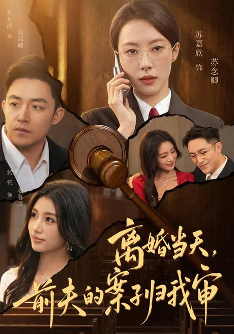 离婚当天,前夫的案子归我审(63集)苏嘉欣&刘月涛 (2026) 离婚当天,前夫的案子归我审(63集)苏嘉欣&刘月涛 (2026)