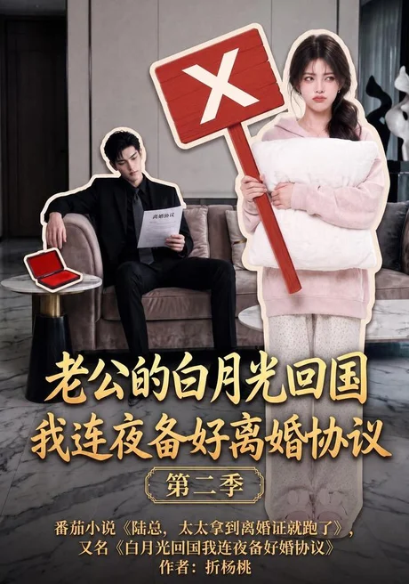 老公的白月光回国我连夜备好离婚协议第二季(165集)AI短剧 (2026) 老公的白月光回国我连夜备好离婚协议第二季(165集)AI短剧 (2026)