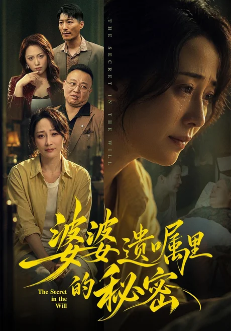 婆婆遗嘱里的秘密(61集)邬倩&时晓飞 (2026) 婆婆遗嘱里的秘密(61集)邬倩&时晓飞 (2026)