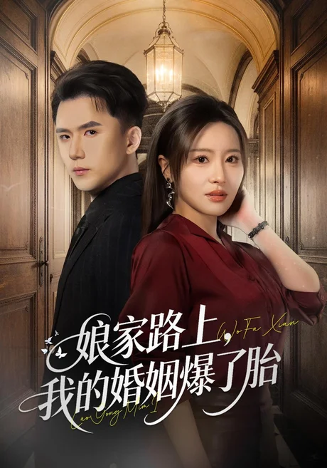 娘家路上,我的婚姻爆了胎(78集)刘昕岚&赵志盟 (2026) 娘家路上,我的婚姻爆了胎(78集)刘昕岚&赵志盟 (2026)