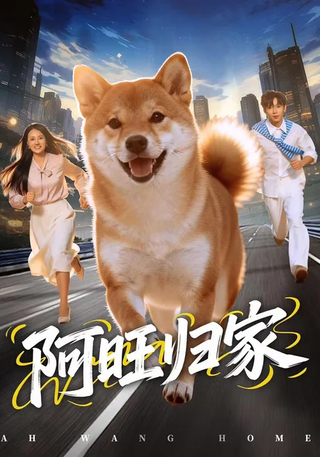 阿旺归家(45集)荣玉岩&一璇 (2026) 阿旺归家(45集)荣玉岩&一璇 (2026)